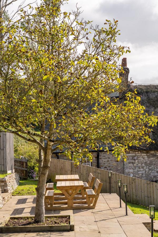 Charming Family Near Lyme Regis Axminster